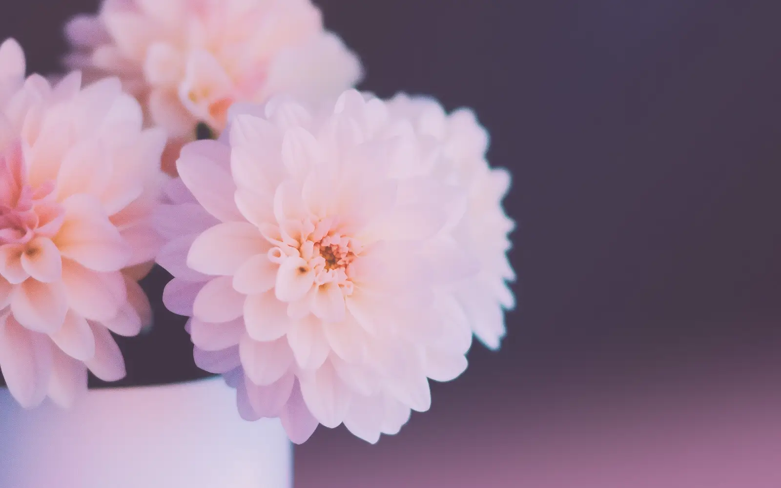 10 Simple Daily Rituals to Stay Grounded in Uncertain Times - 5-4-3-2-1 Grounding Technique