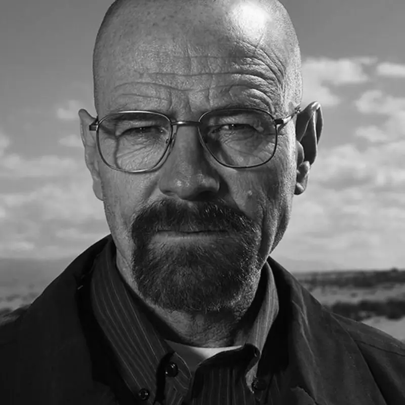 Bryan Cranston -Breaking Bad