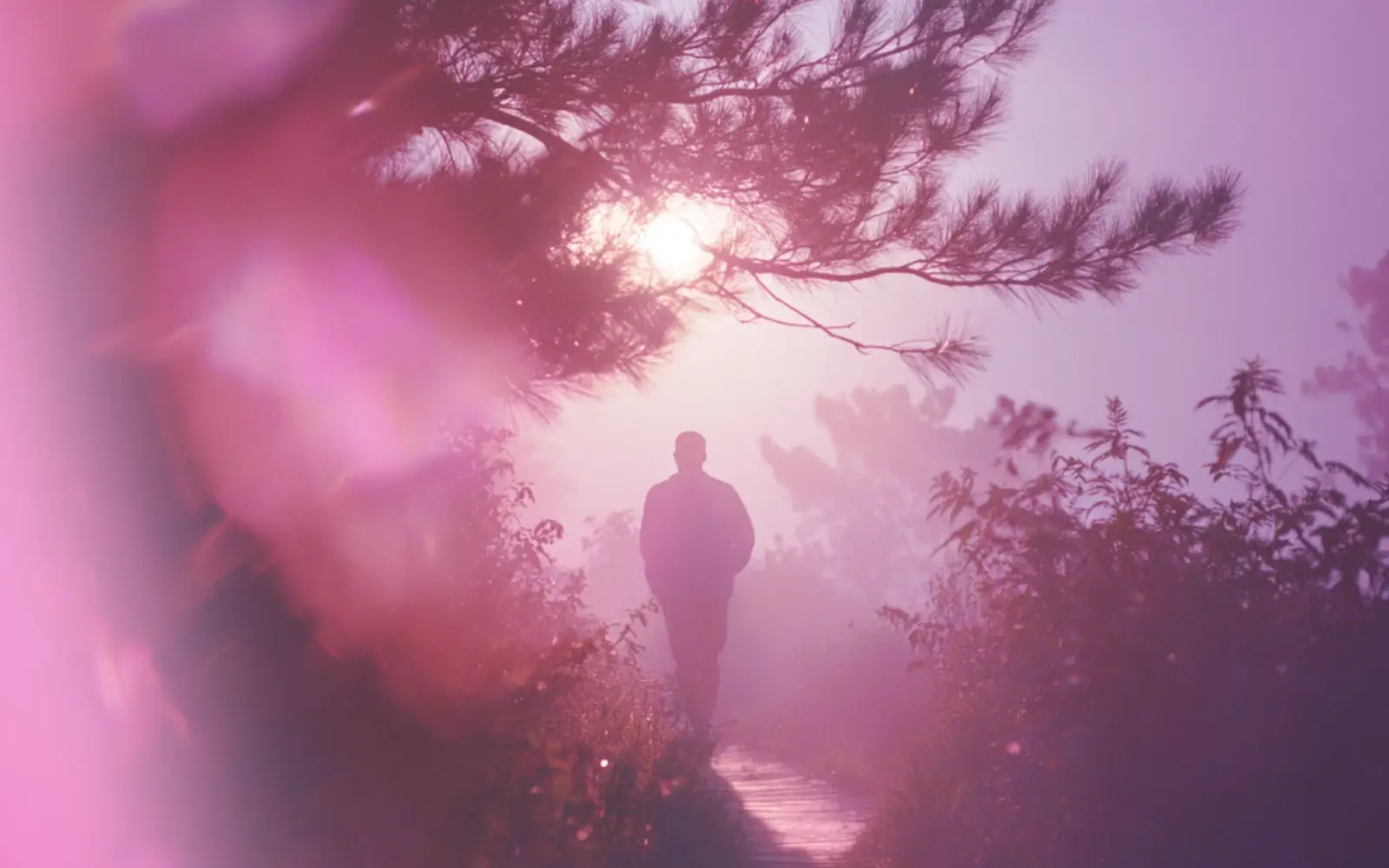 Nature and Wellbeing - Simple Ways to Add Nature Into Your Life