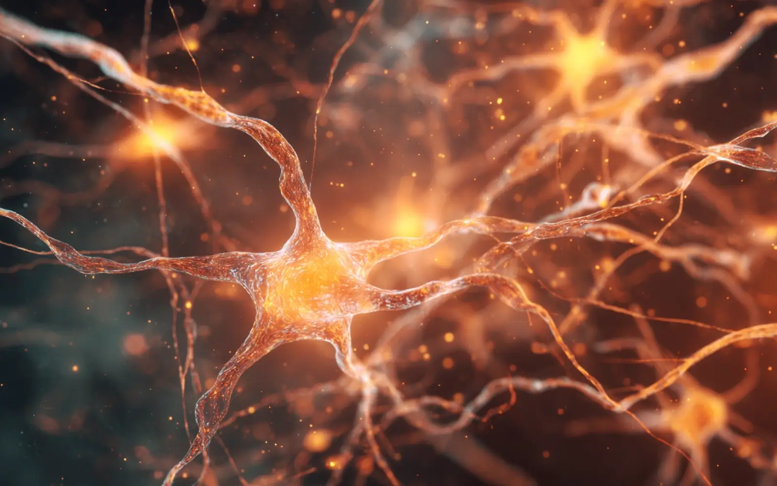 How to Rewire Your Brain for Career Growth - What Neuroplasticity Really Means