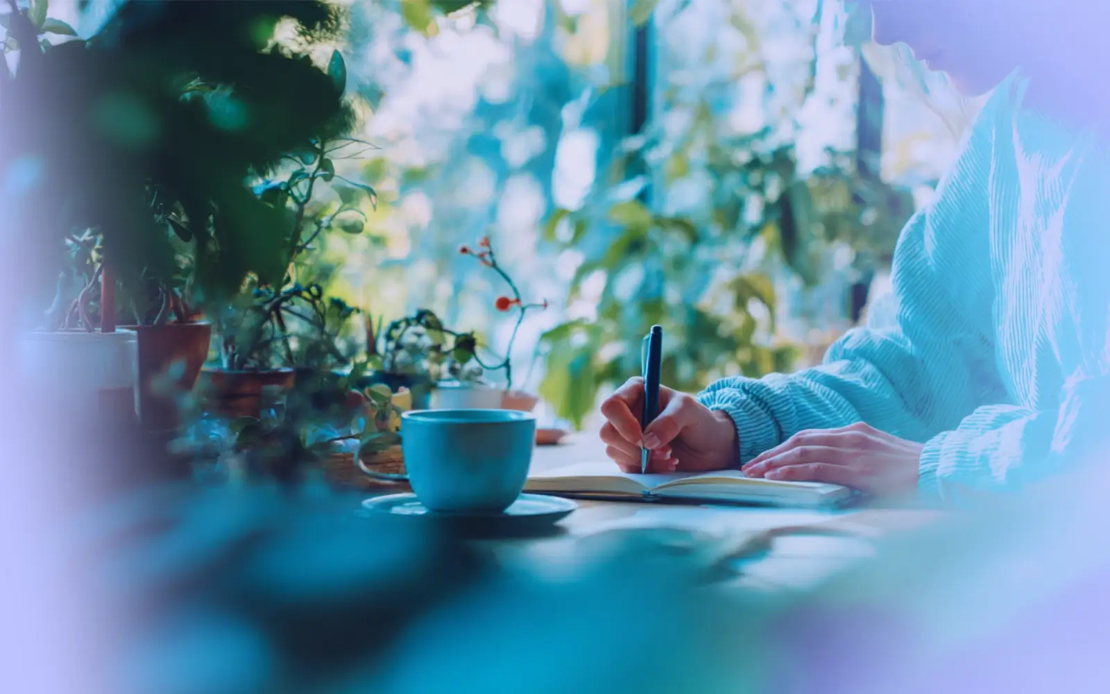 How to Build Bulletproof Emotional Resilience - Your Resilience Training Plan