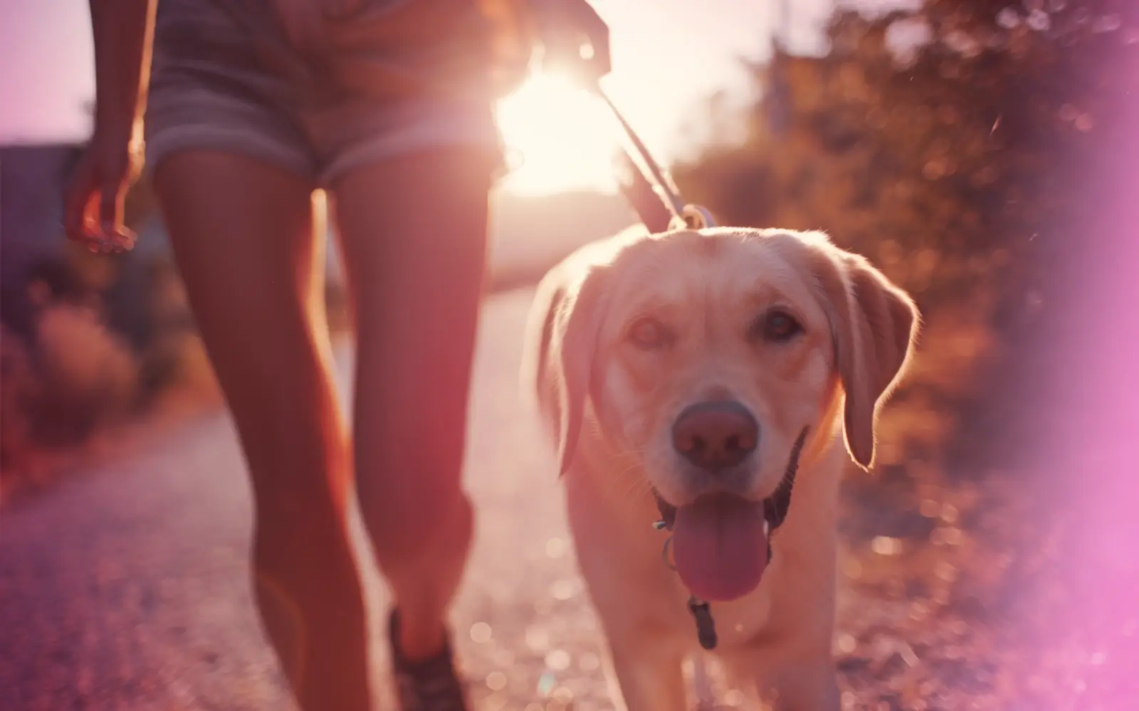 How to Be Happy with What You Have - A Science-Based Guide to Contentment