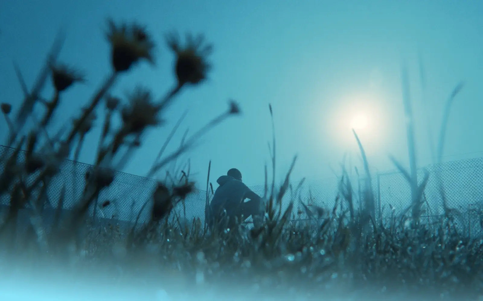 Stop Seeking Approval - Building Courage Through Small Decisions