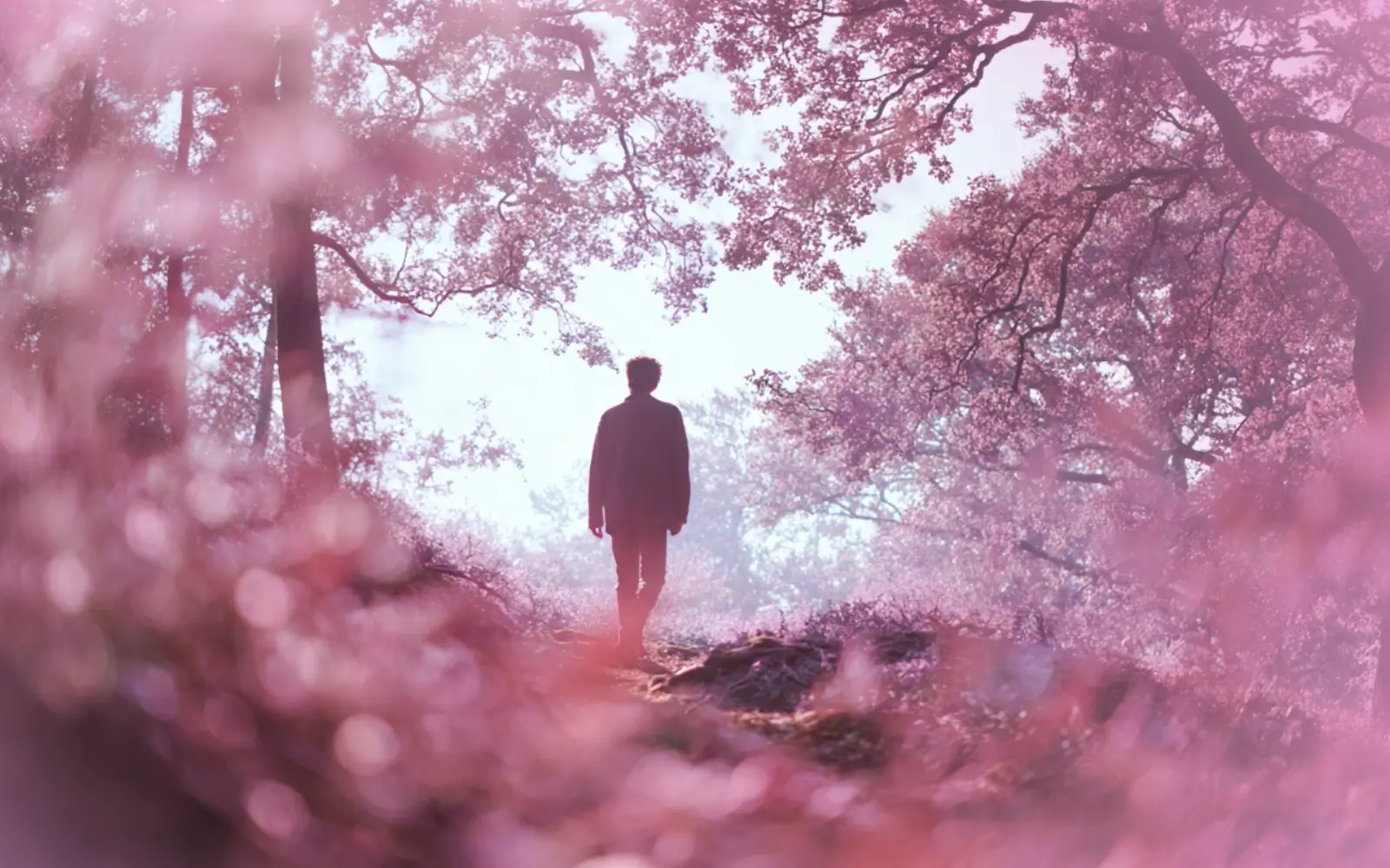 Powerful Life: Changing Wellness Habits That Actually Work - Wellbeing Habits