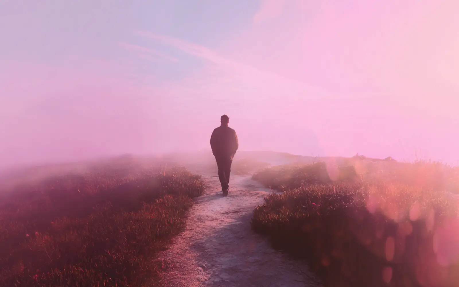 25 Digital Detox Habits That Work - Digital Detox Breaks