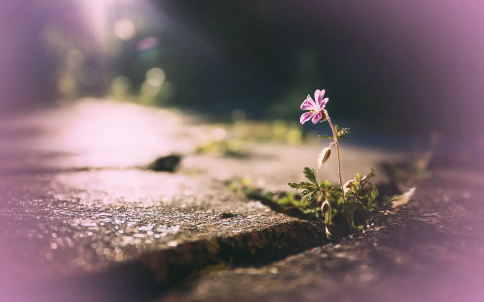 Self-Criticism - Set Healthy Boundaries