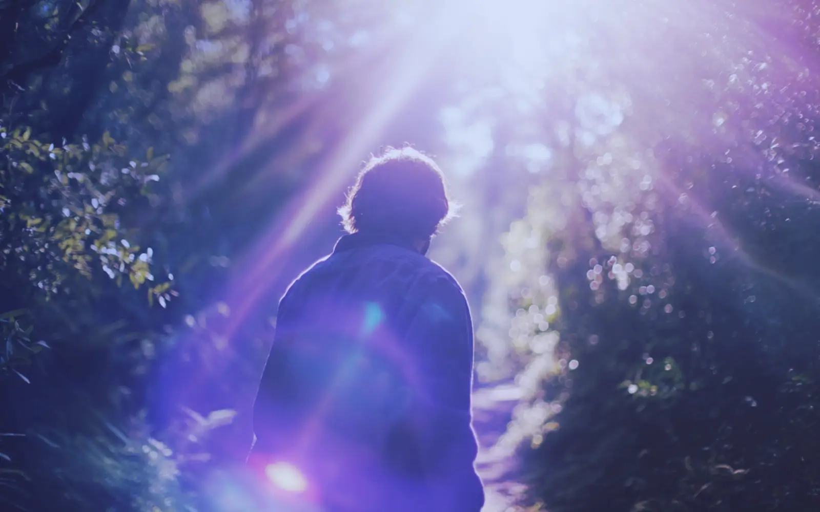 Developing Emotional Intelligence (EQ) - EQ as Your Hidden Advantage