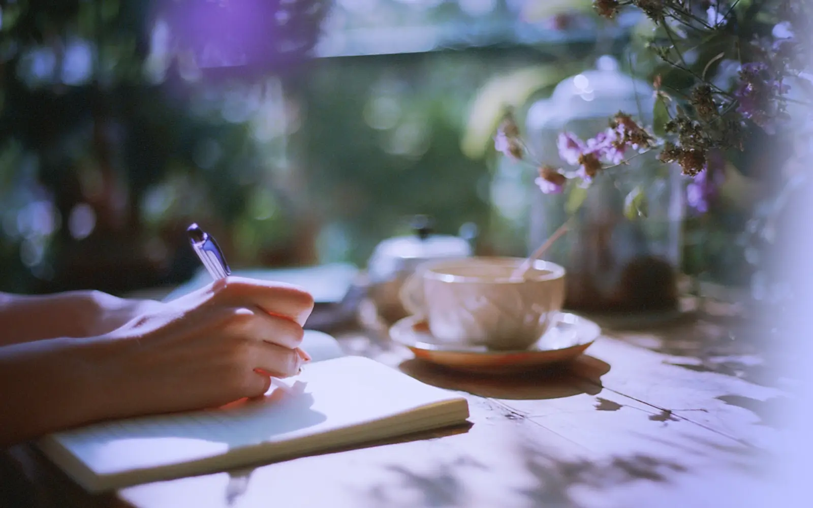 Developing Emotional Intelligence (EQ) - Your 4-Week EQ Plan