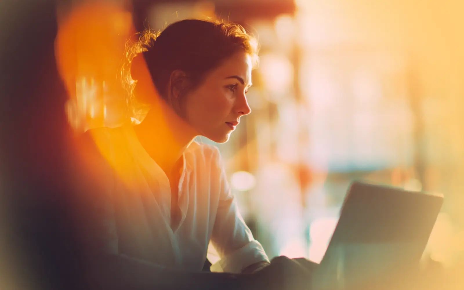 Emotional Resilience: Navigating Challenges of Career Change - The Resilience Framework and Toolkit