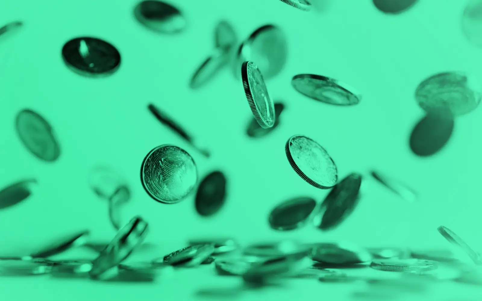 Financial Freedom in Every Stage of Life: Financial Literacy