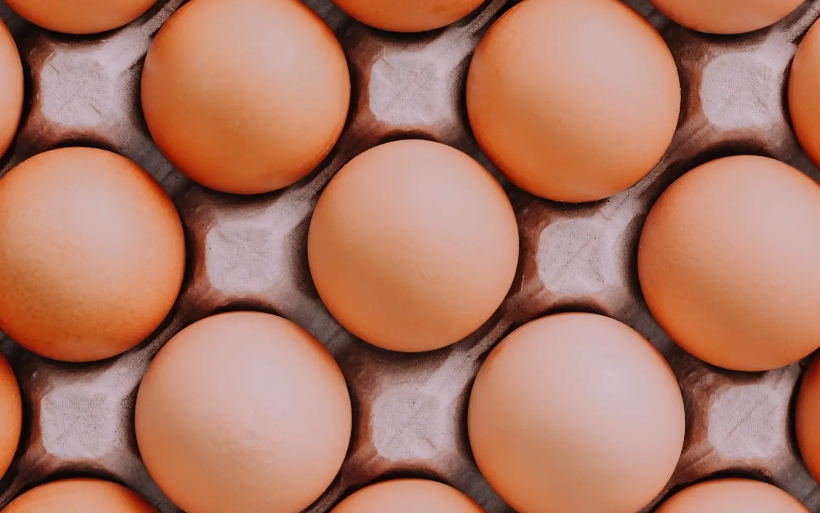 Summer Foods for Energy - Eggs