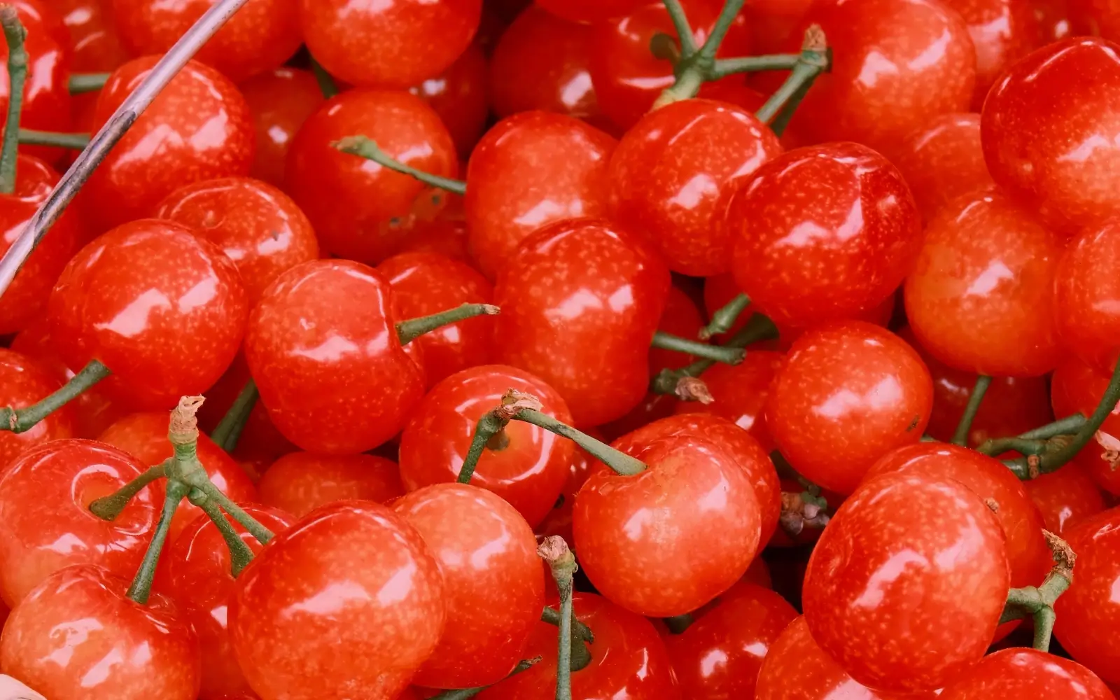 Summer Foods for Energy - Tart Cherries